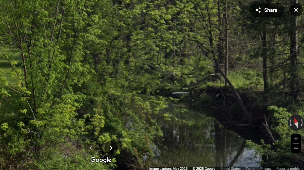 An invasive water species from New Zealand was found in two Pennsylvania creeks.