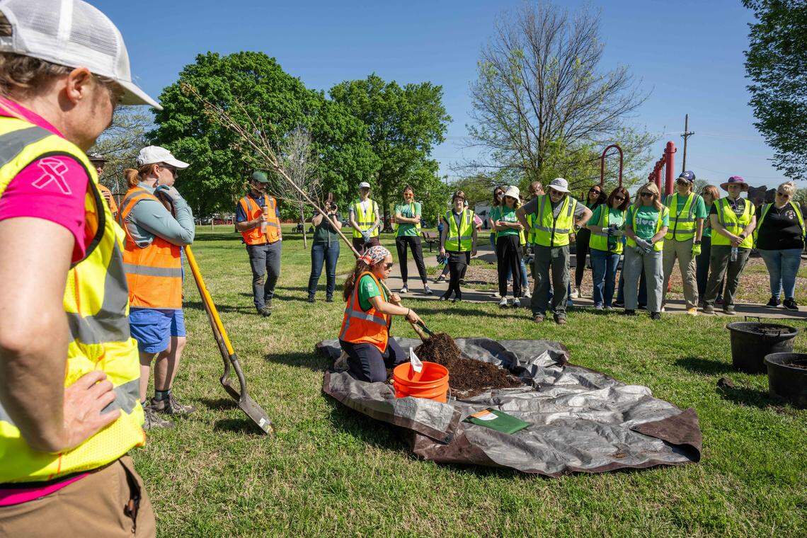 Workers with Armourdale Renewal Association and Bridging the Gap demonstrate how to care for a tree during a tree planting event on Thursday, April 16, 2026, in Kansas City.