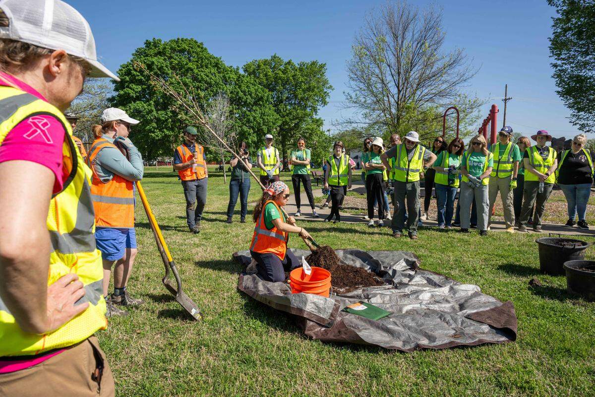 Workers with Armourdale Renewal Association and Bridging the Gap demonstrate how to care for a tree during a tree planting event on Thursday, April 16, 2026, in Kansas City.