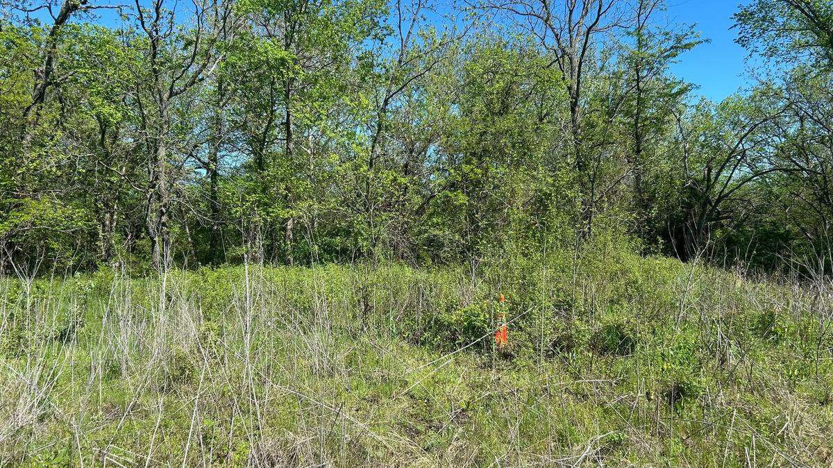 The embankment of Arthur & Betty Verhaeghe Park in Overland Park, where the remains of a missing man were recovered Monday.