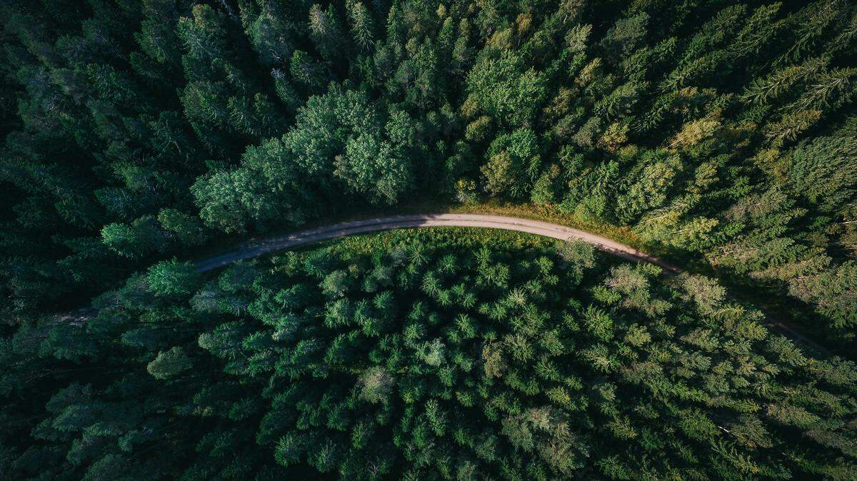 A Duluth man has been found dead days after disappearing into the woods while running from police, officials say.