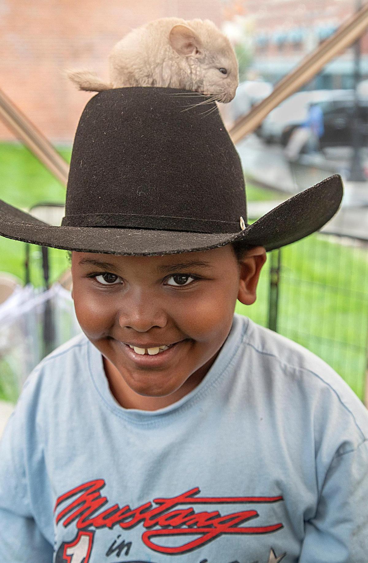After several minutes of being afraid to interact with the exotic animals, seven-year-old Ace, from Pleasant Hill ended up with a Chinchilla on his cowboy hat.