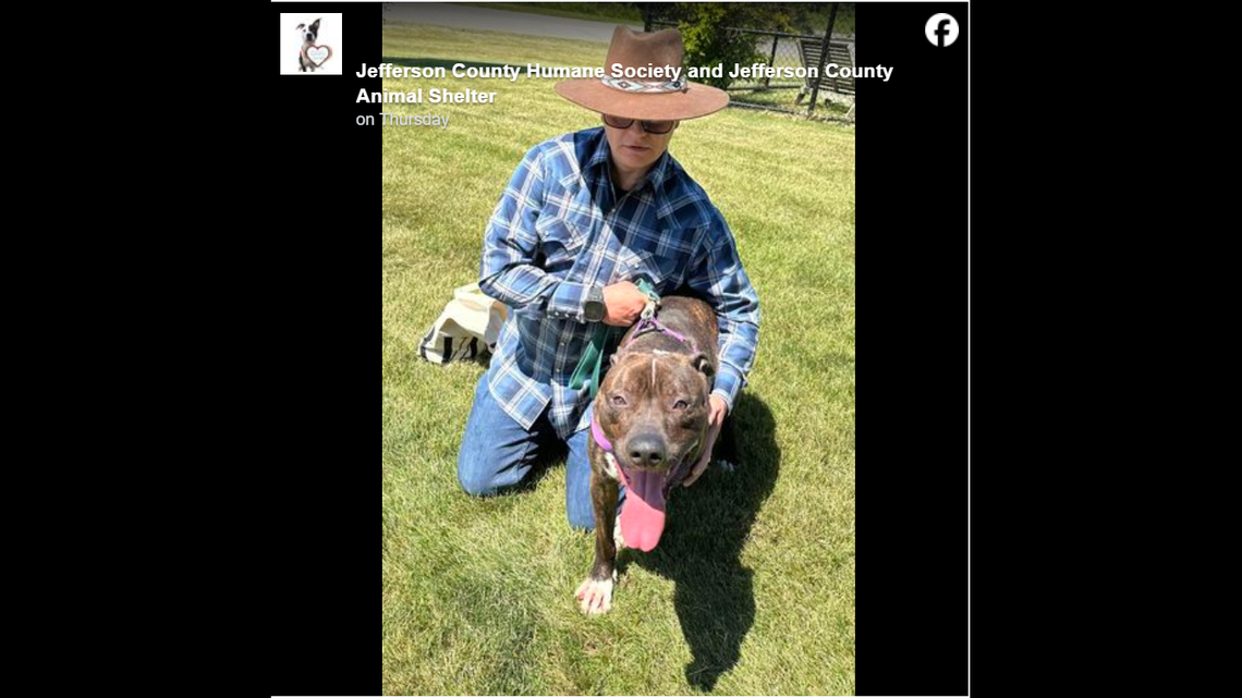 Rosco has a new owner, who drove 15 hours to adopt the dog.