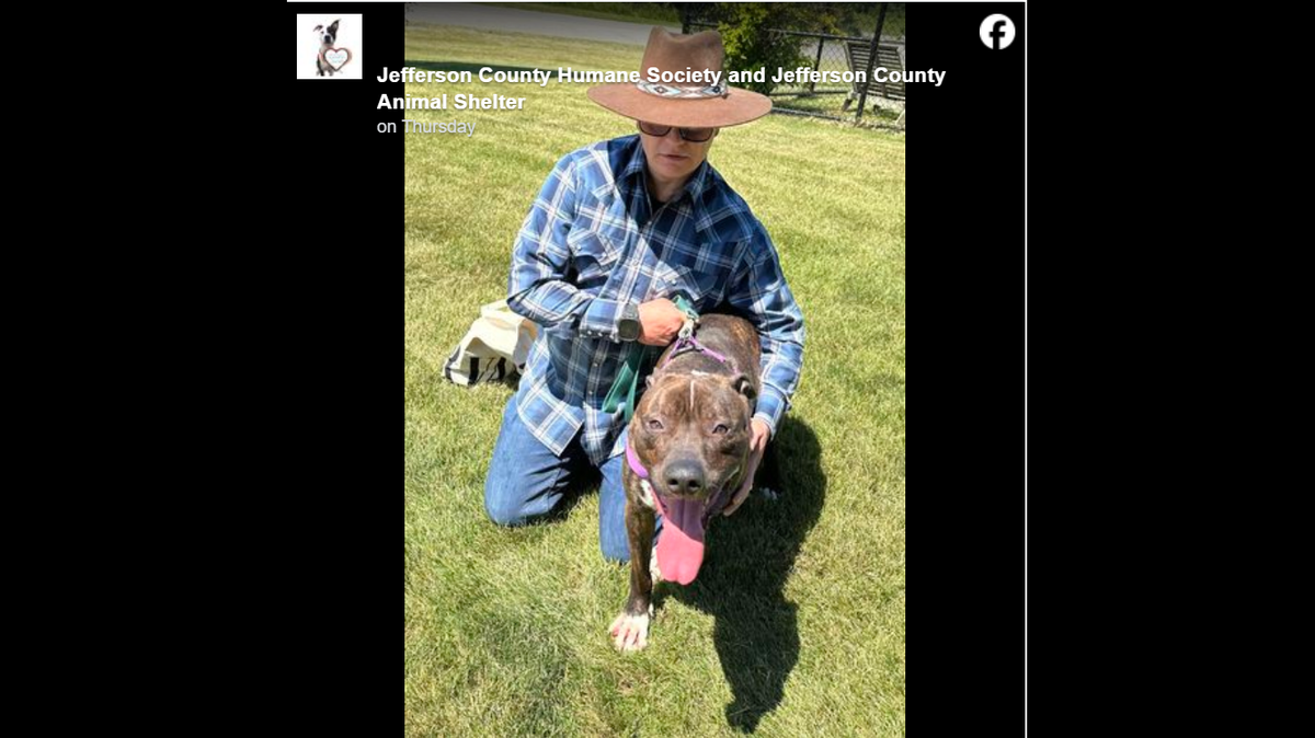 Rosco has a new owner, who drove 15 hours to adopt the dog.