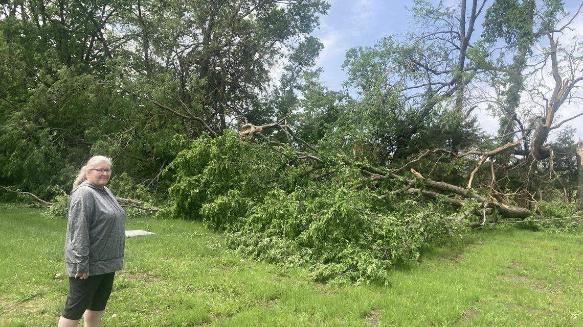 Marla Burvee of Spring Hill hid with her dog in the hallway as a Monday morning storm, producing hail and strong winds, ravaged her yard, splitting and toppling trees and power lines.