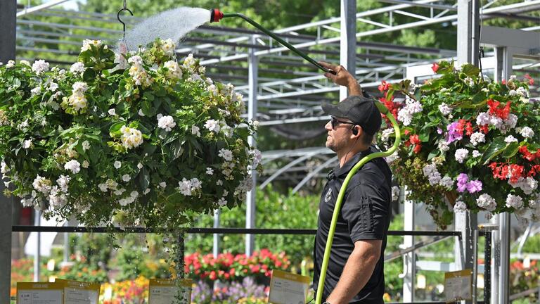Here’s how to keep your potted annuals looking beautiful during KC’s punishing summers
