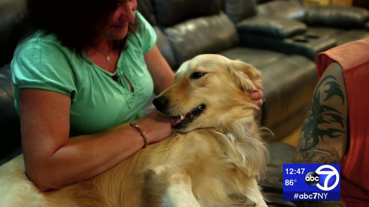 Danielle Cittadino of Long Island thought she was buying a $1,200 golden retriever on payment installments. She didn’t realize she had signed a lease until she was hit with a final fee and was threatened with repossession.