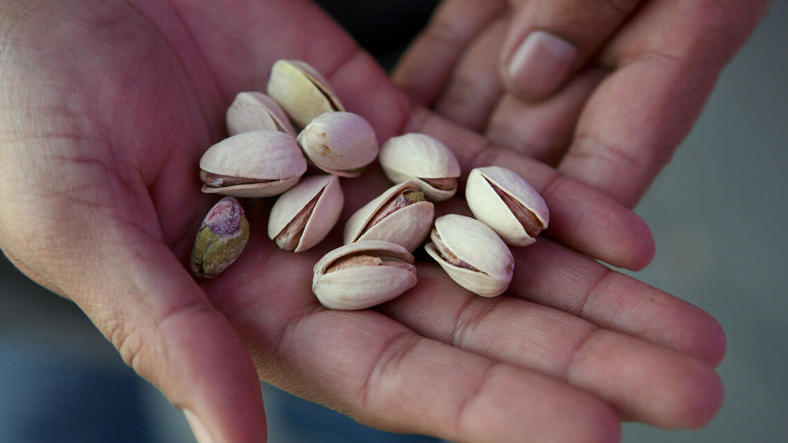Celebrities’ favorite high-protein kitchen staples are growing in popularity and surprisingly ordinary