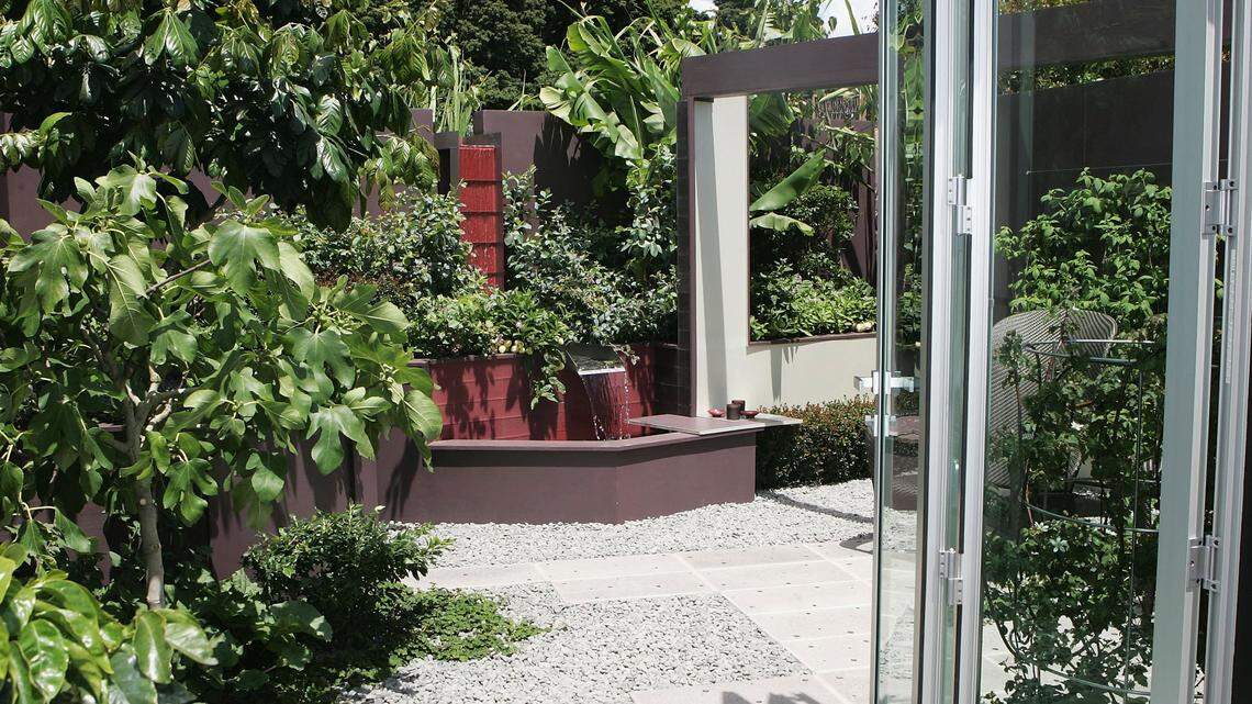 A patio with plants.