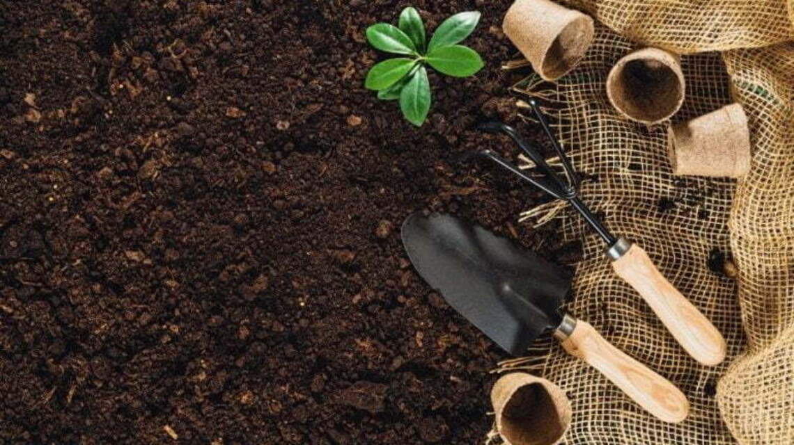 Fall is near. No better time to prepare soil to sustain your spring vegetable gardens