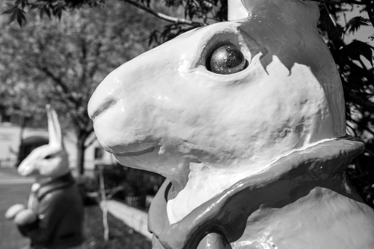 Two Easter bunny sculptures are displayed along Wyandotte Street outside the Cheesecake Factory at the Country Club Plaza on Monday, April 14, 2025.