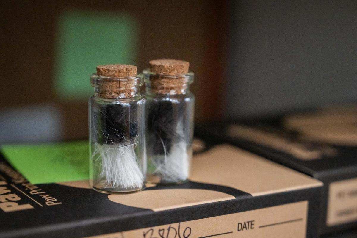 Vials contain fur from customer’s pets at Heartland Pet Aquamation.