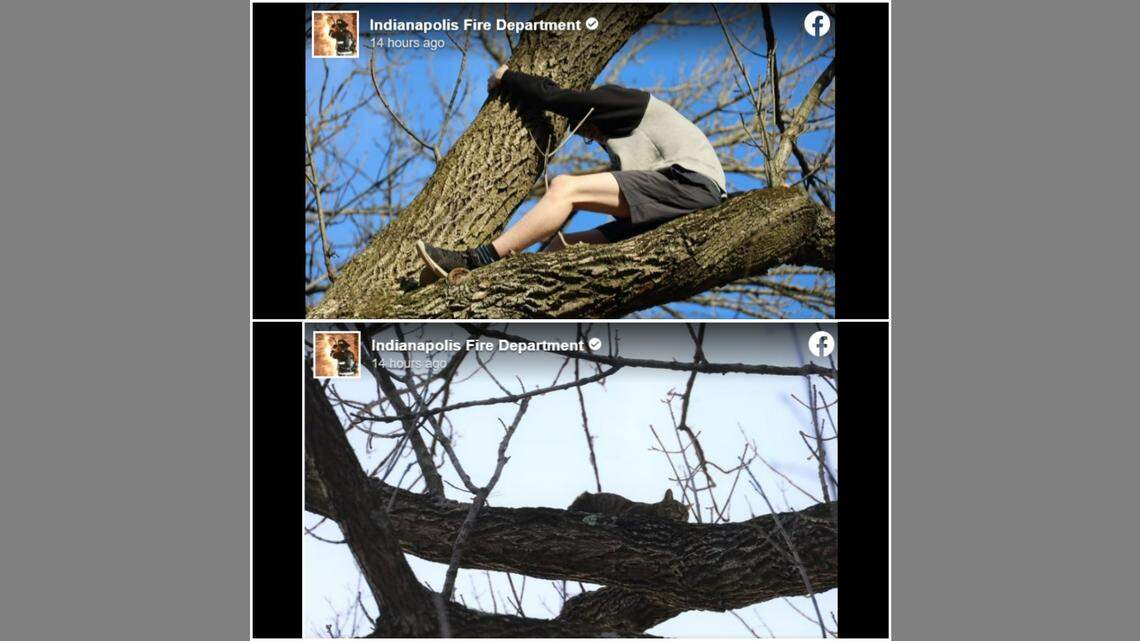 An Indianapolis, Indiana, teenager needed rescue from firefighters after trying to save a cat from a tree.