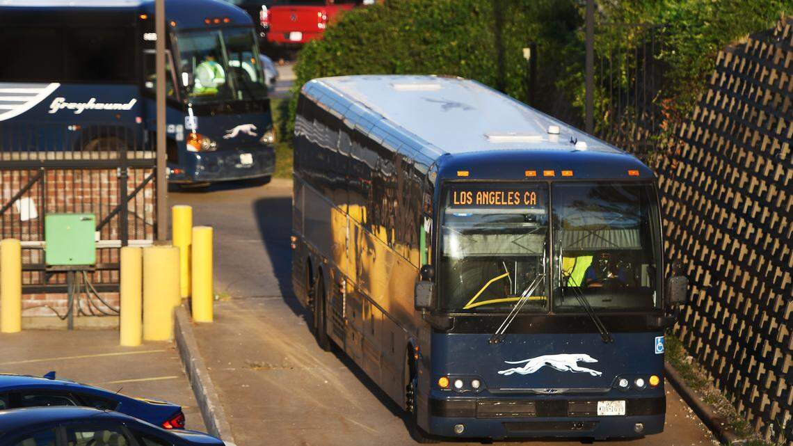 Man facing theft charges after allegedly stealing Greyhound bus, fleeing police