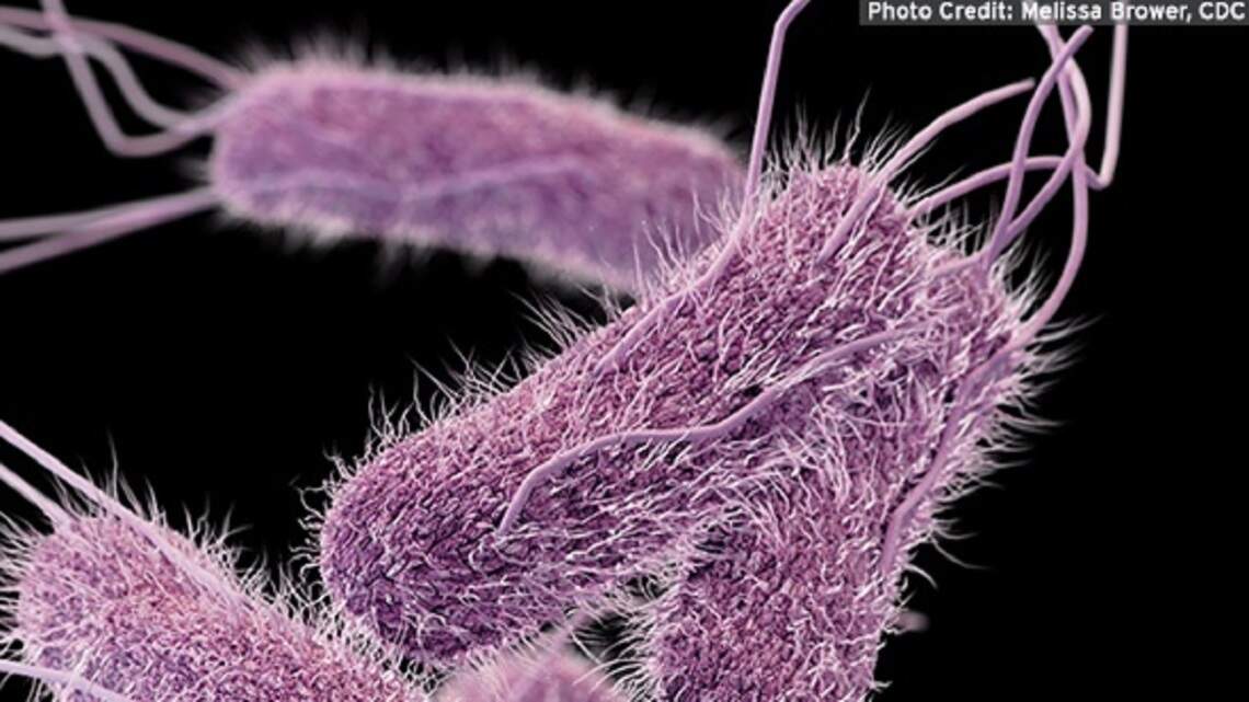 A second food-related outbreak is in Kansas, Missouri. Here’s what to know