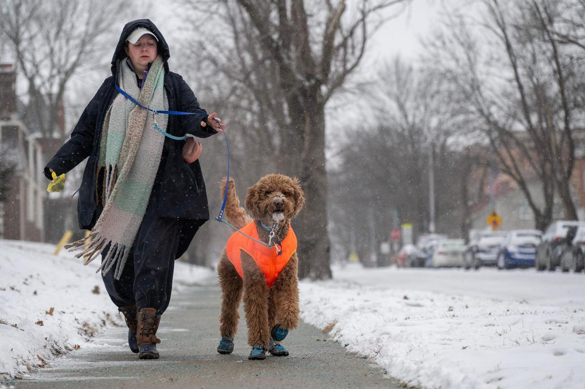 A Kansas City resident, bundled up against the cold, walks their dog along a snow-dusted sidewalk along Locust Street on Tuesday, Feb. 18, 2025, in Kansas City.