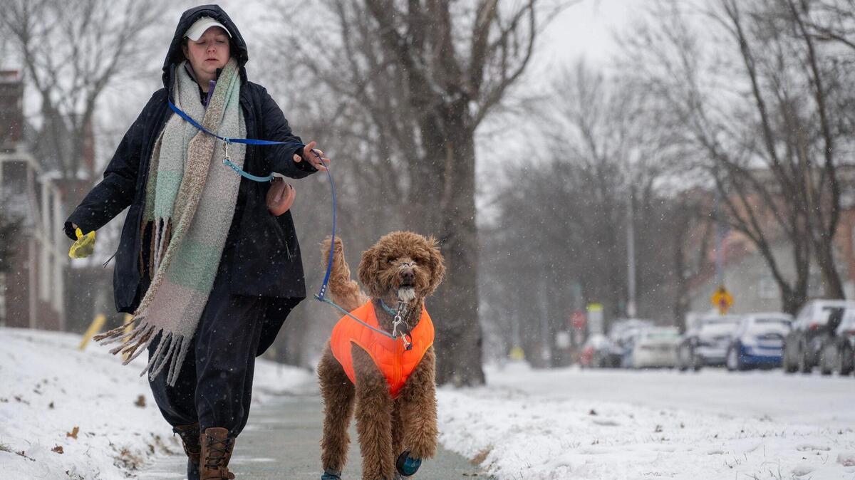 A Kansas City resident, bundled up against the cold, walks their dog along a snow-dusted sidewalk along Locust Street on Tuesday, Feb. 18, in Kansas City.