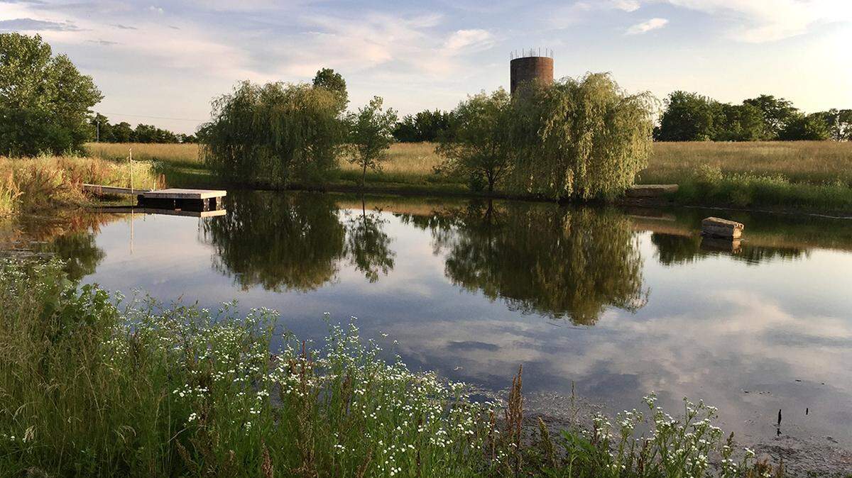 Excavated from a hayfield near Warrensburg, Fossil Pond and its limestone evoke an age 300 million years ago when a vast sea covered much of the Midwest, including Kansas City.