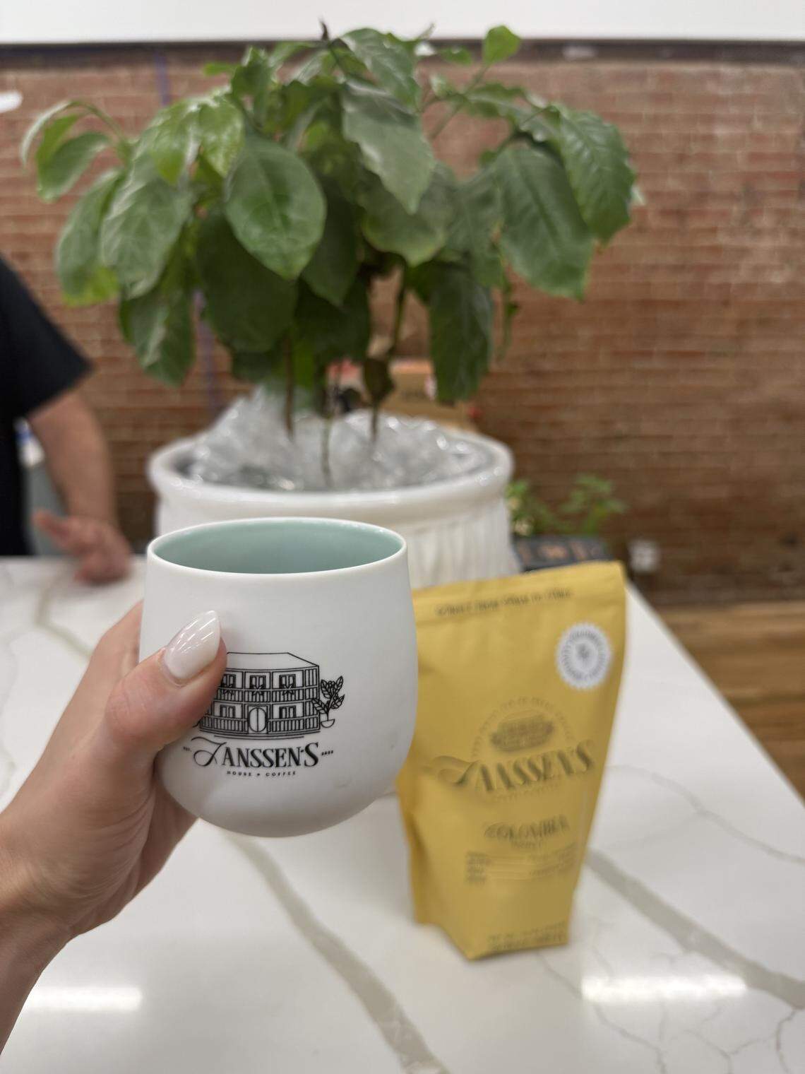 Janssen’s House Coffee is opening in Westport.