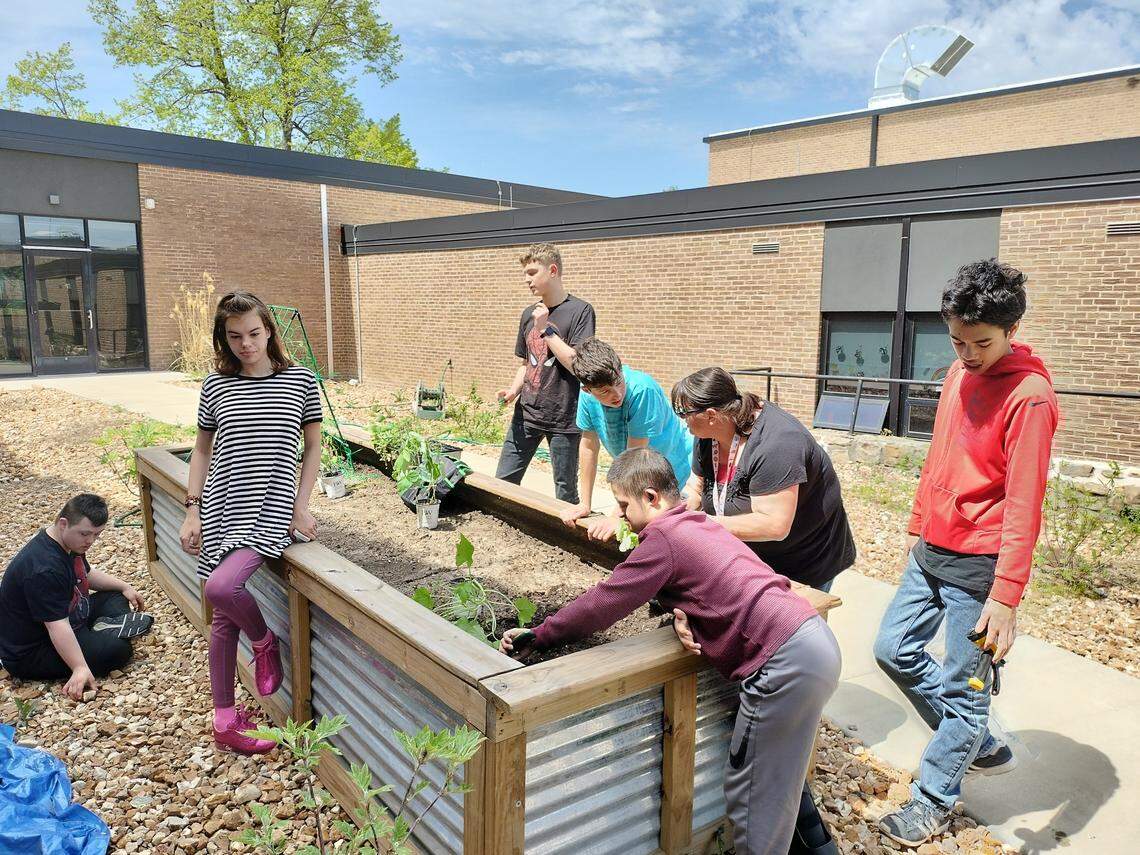 Lee’s Summit High School students and a teacher plant vegetable plants in their high school garden bed in the courtyard.