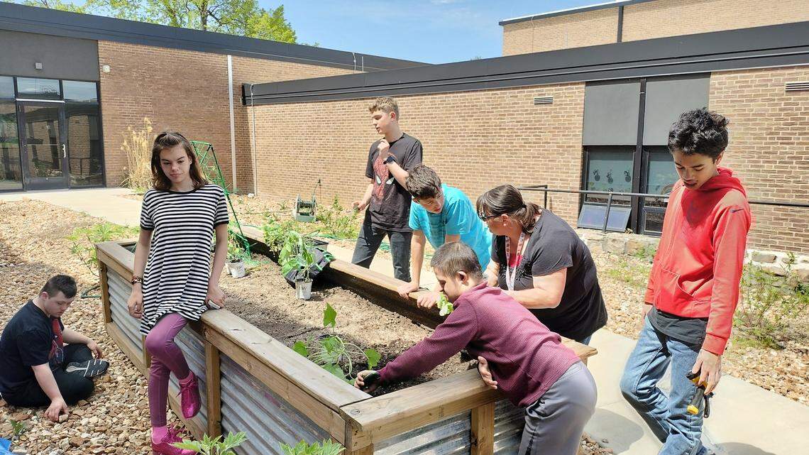 Lee’s Summit High School students and a teacher plant vegetable plants in their high school garden bed in the courtyard.