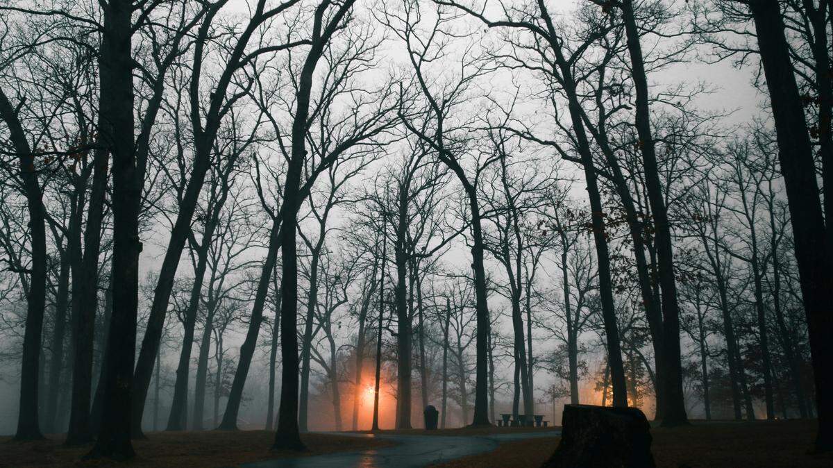 A man is accused of illegally shooting a mountain lion while hunting, Missouri officials said.