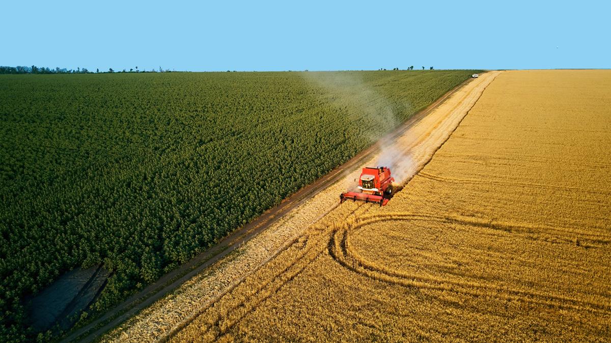 Kansas Sen. Roger Marshall and Missouri Rep. Mark Alford serve on committees that set our national agricultural policy and funding.