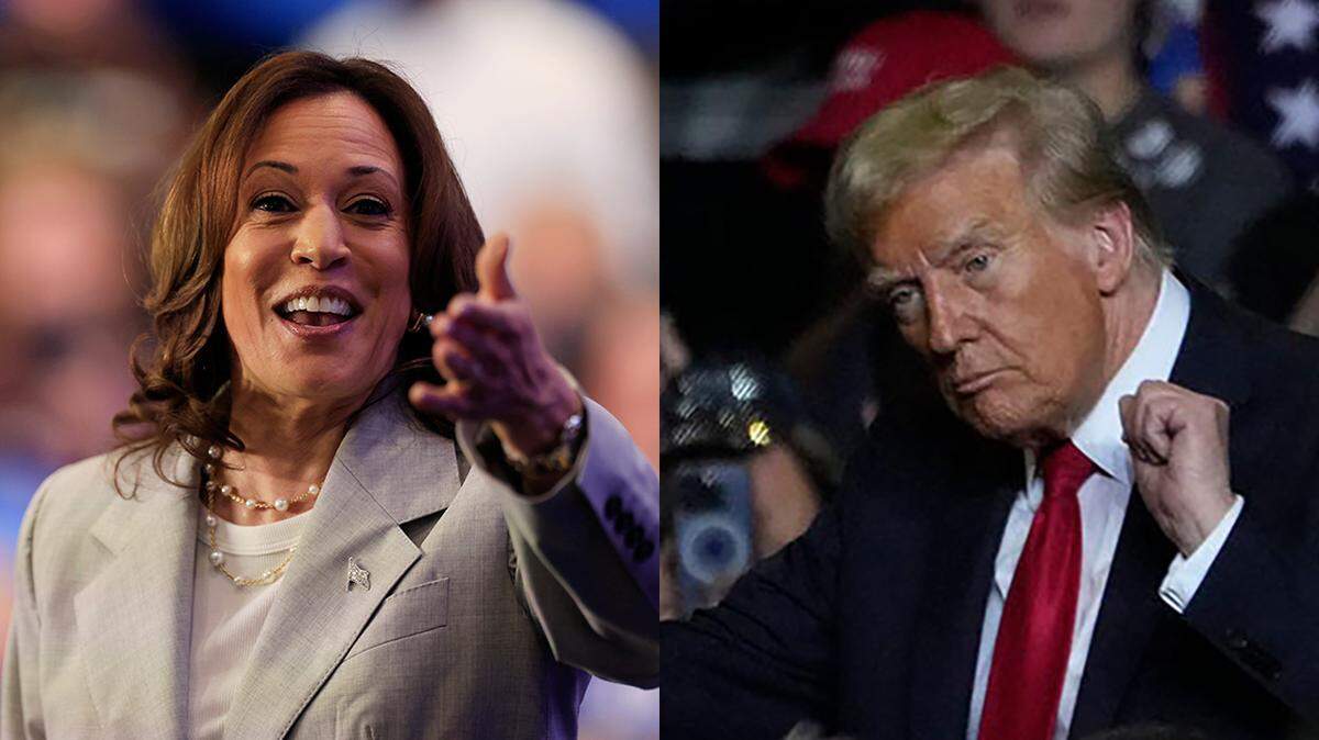 Black voters went 85% for Kamala Harris, while the white vote was 57% for Donald Trump.