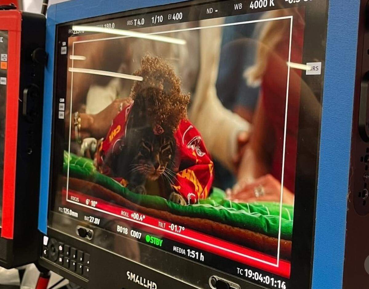 Ready for his close-up!