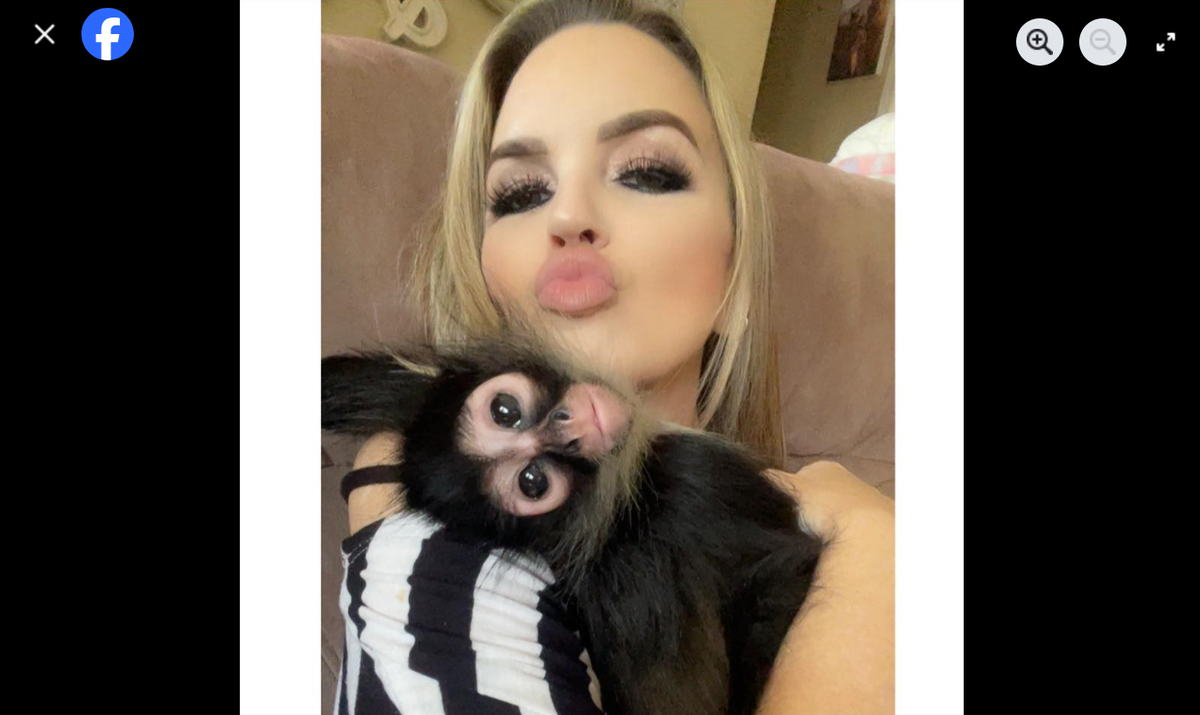 Toni Skelton and Oakley the spider monkey