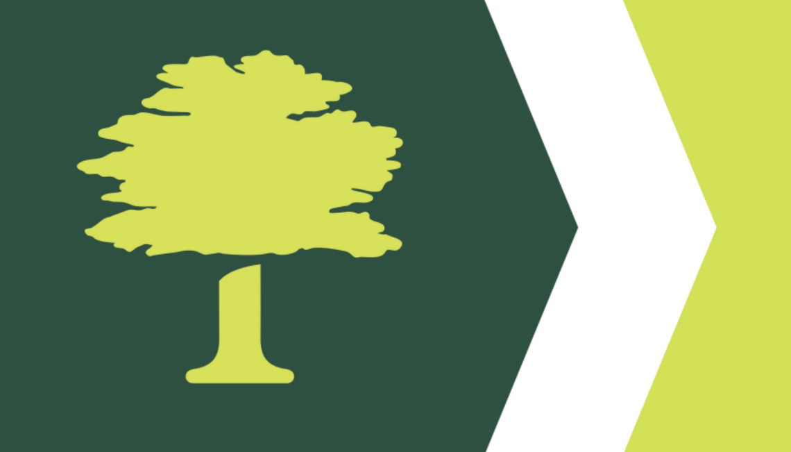 Overland Park’s oak tree design for the new city flag.