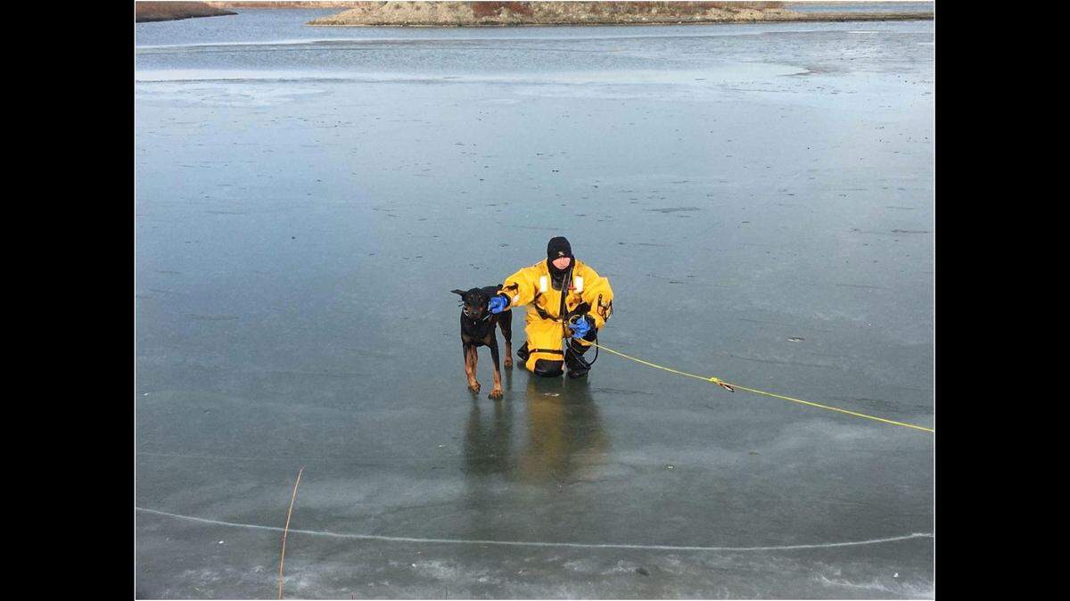 A dog in Minnesota is safe after plummeting into ice-cold water when a frozen lake shattered on Saturday, officials say.