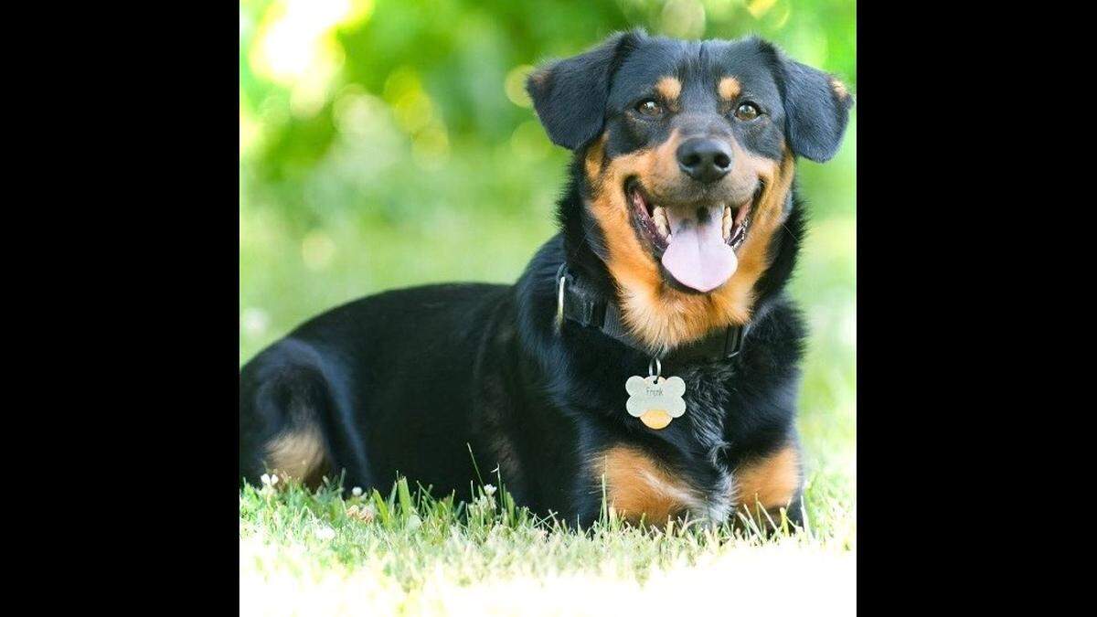 Frank