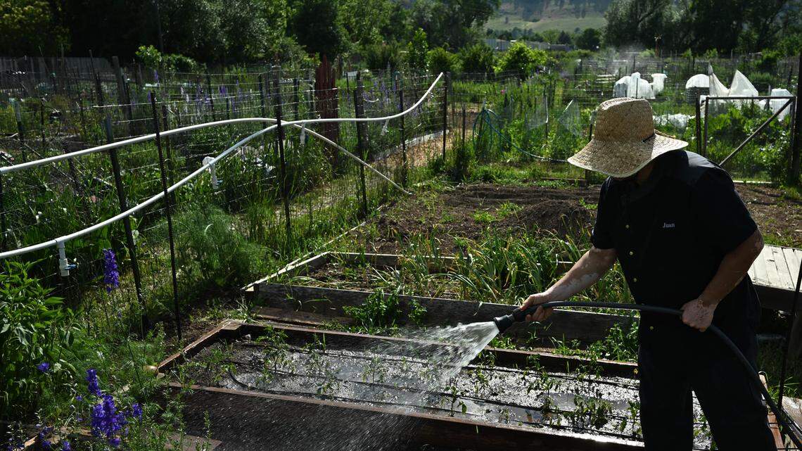 A man watering his garden.