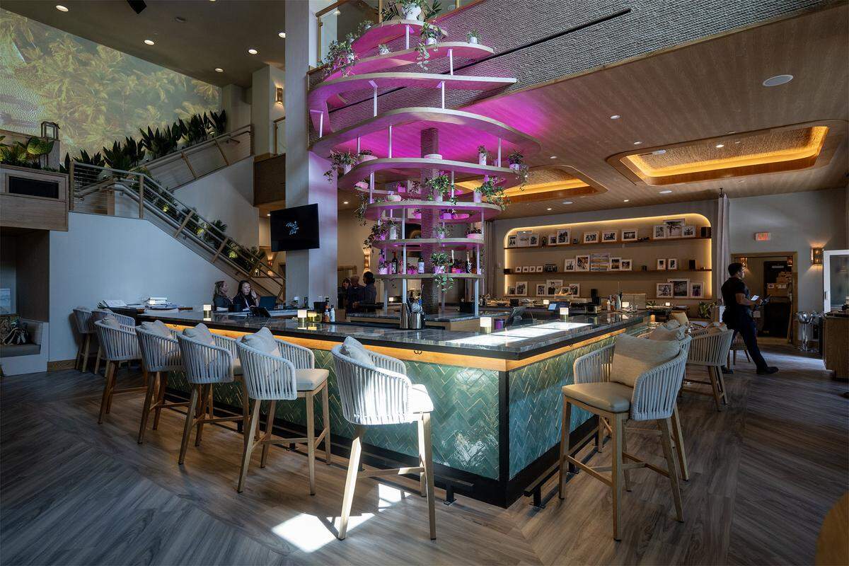 Spanning 11,000 square feet over two levels, the new Palm Tree Club is bringing a coastal dining experience to Kansas City's Power & Light District. Located at 14 E. 14th St., was previewed by the media in September 2025.
