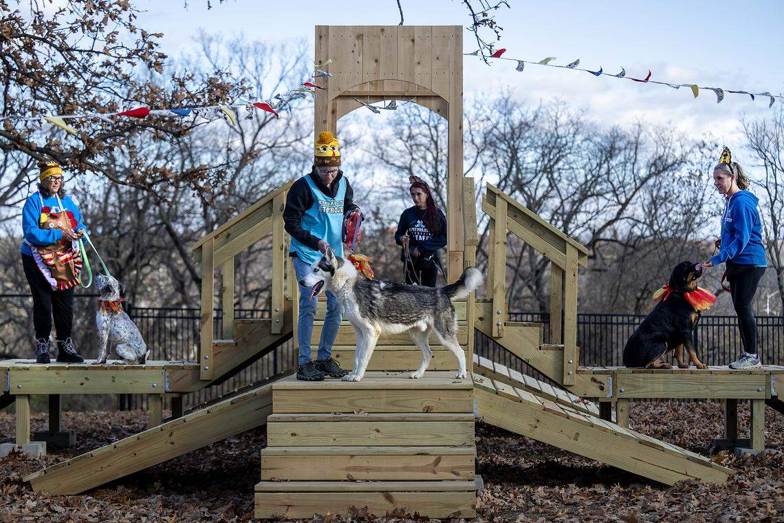 Following a leash-cutting ceremony at KC Pet Project's new “Barks & Rec” playground, staff and volunteers led adoptable dogs across the play structure on Tuesday, Nov. 25, 2025. Sponsored by Westlake Ace Hardware, the playground is located at KC Pet Project's Swope Park campus.
