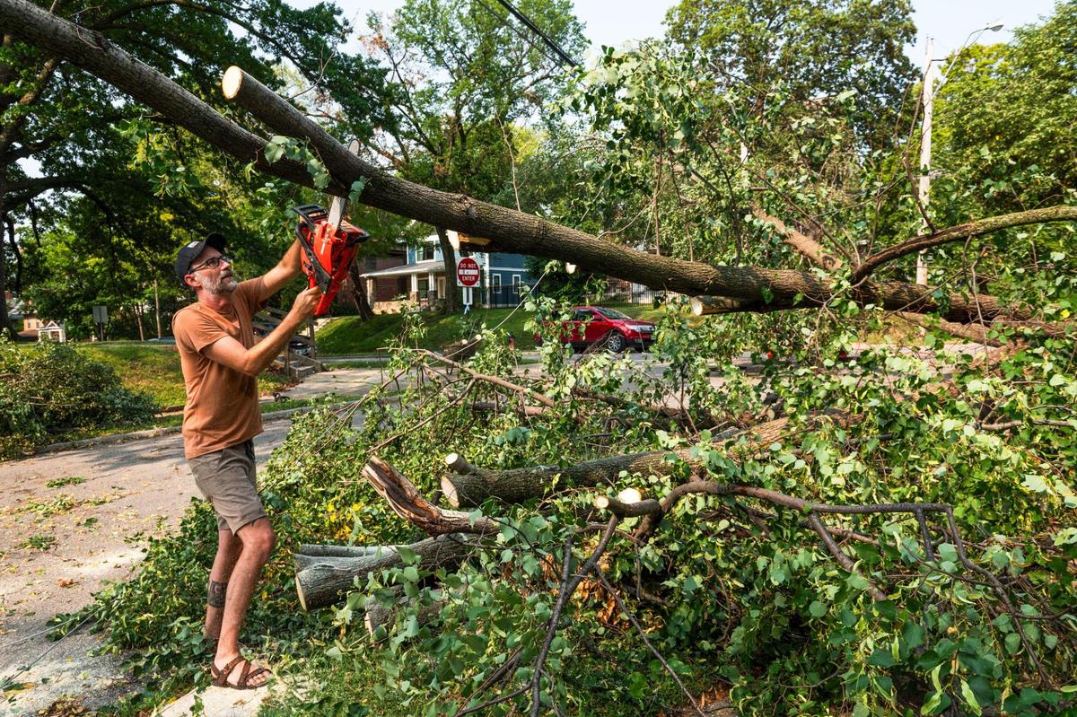 Ryan Jones removes branches from a tree that fell on a power line in the Central Hyde Park neighborhood on Saturday, July 15, 2023, in Kansas City. More than 92,000 residents were without power on Saturday morning.