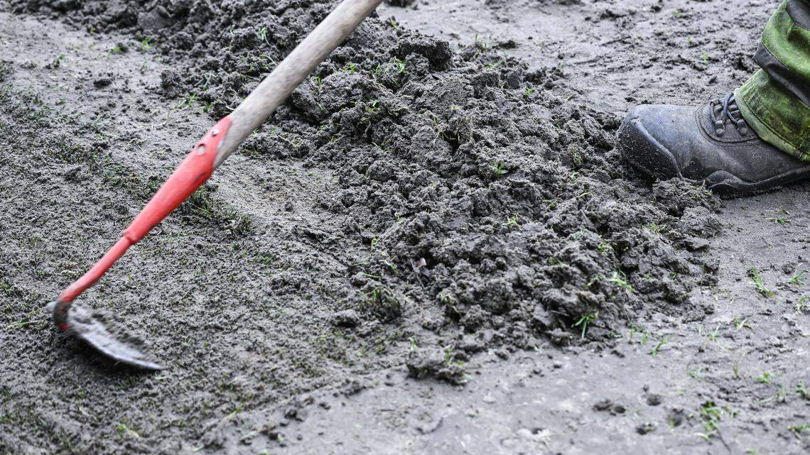 Before Temperatures Soar in Charlotte, Do These 7 Gardening Tasks or Risk Losing Your Entire Summer Lawn