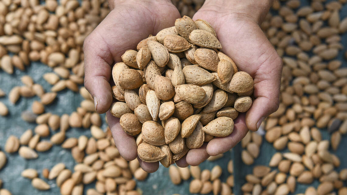 Bedtime snacks that boost sleep quality: How to choose wisely and which 3 foods to skip