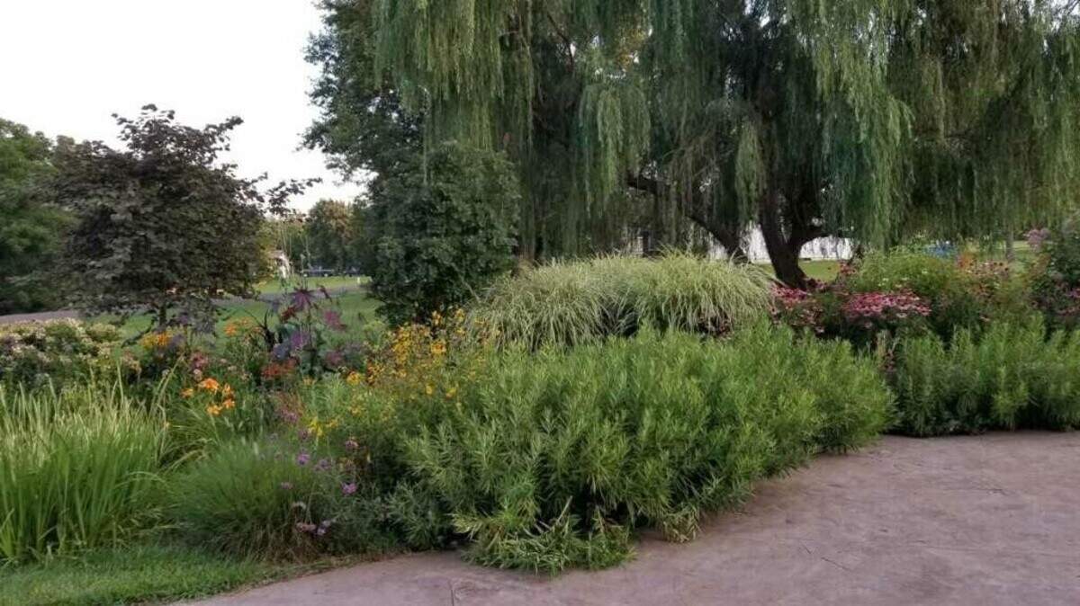 The bioswale is an example of a way to control rain water. An example can be found on the Johnson County Extension Master Gardener Garden Tour May 21 and 22.
