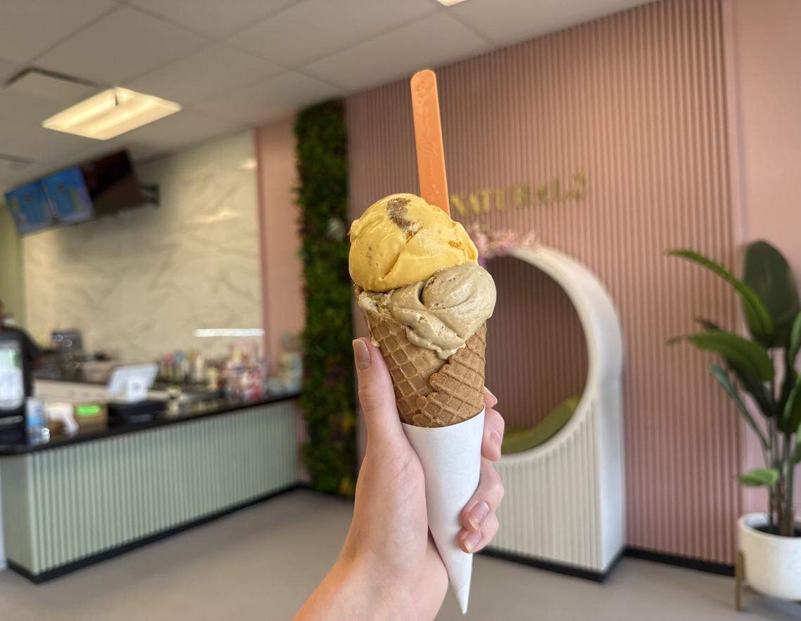 Naturalz serves flavors like orange cream Biscoff and Indian filter coffee.