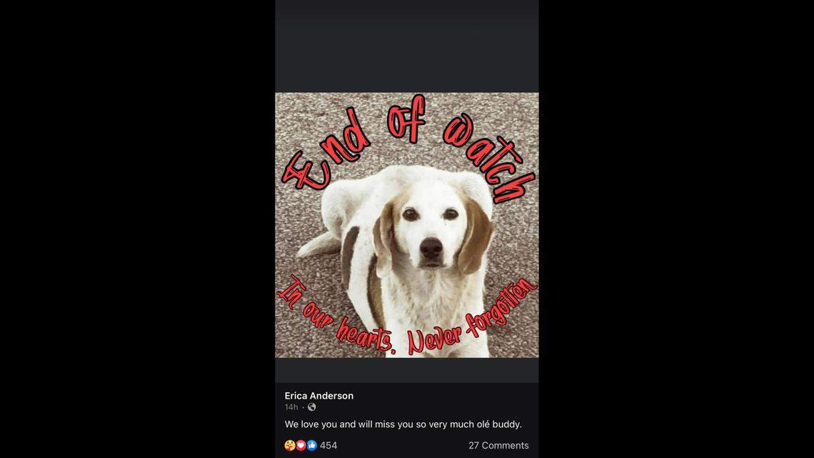 Ike was loved by Ironton’s community and visitors alike.