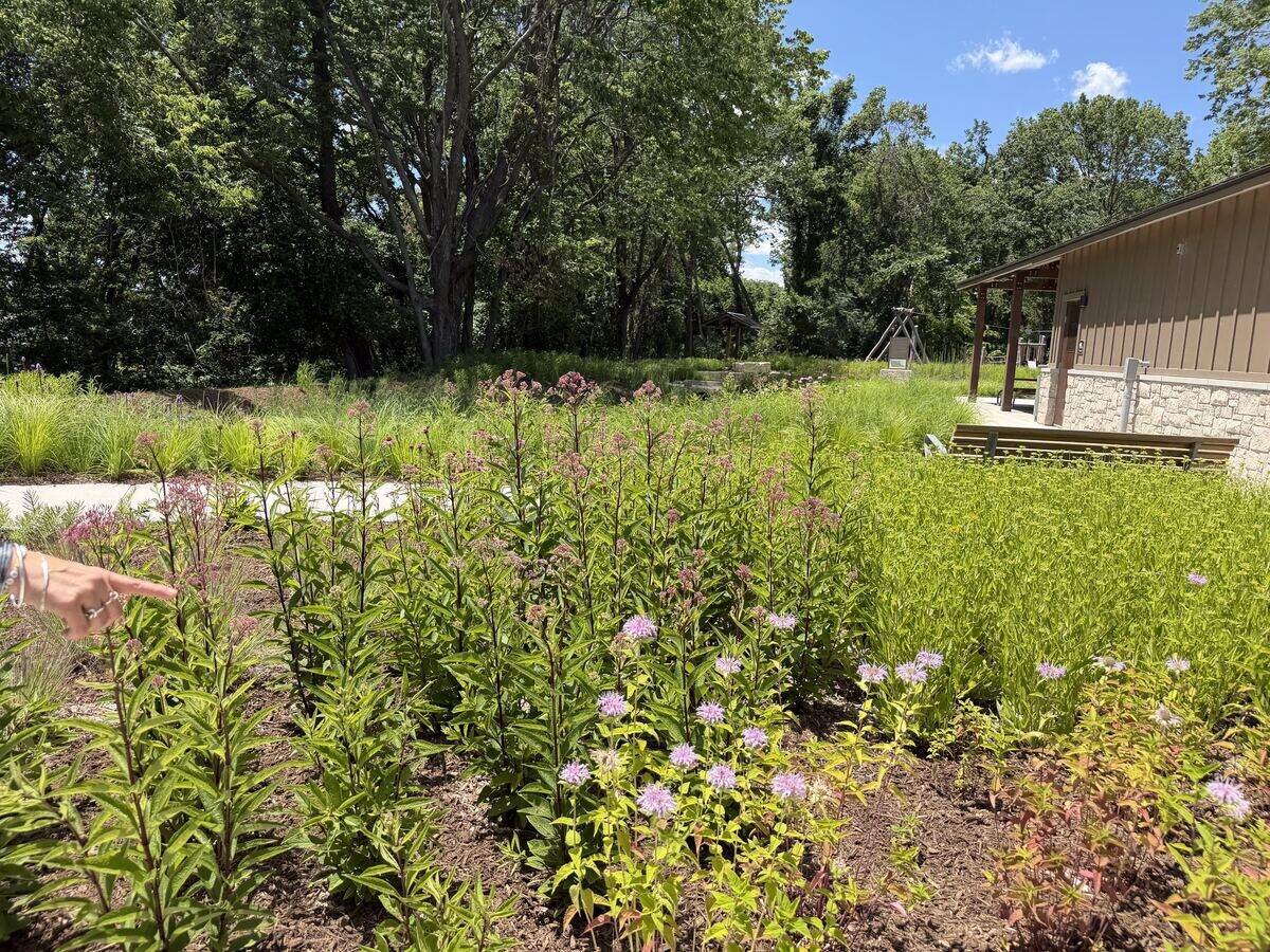 North Kansas City will open its new park, River Forest Park, which features meadow of native flowers and grasses, on Monday, June 15, 2026, during the long-awaited grand opening and ribbon cutting ceremony on Thursday, June 18, 2026, at 4 p.m.