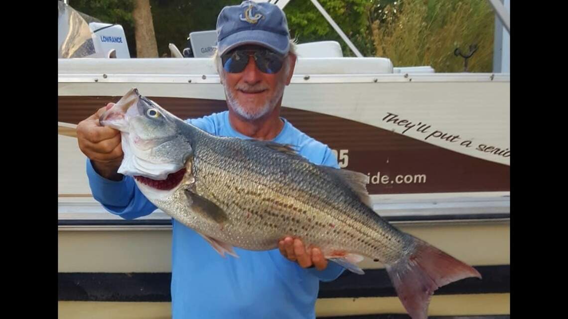 Fishing report: Angling patterns remain consistent in steamy summer heat
