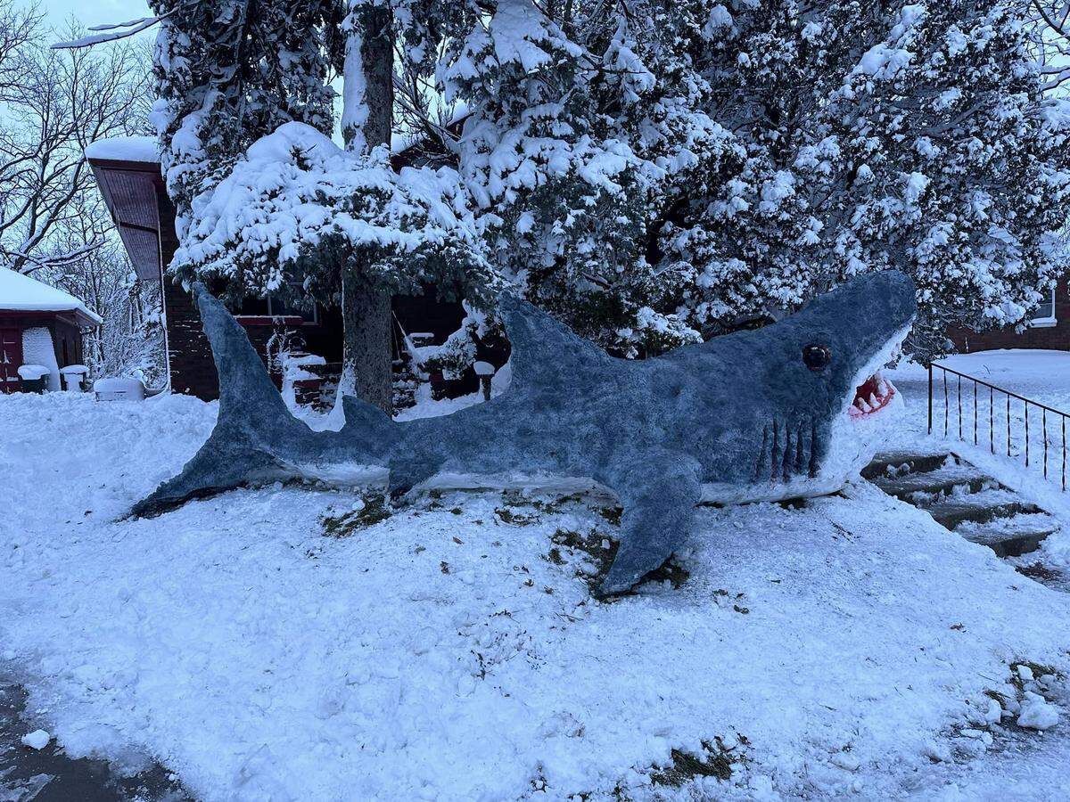 Maldonado crafted the “Great White Shark” out of snow in his front yard.&nbsp;