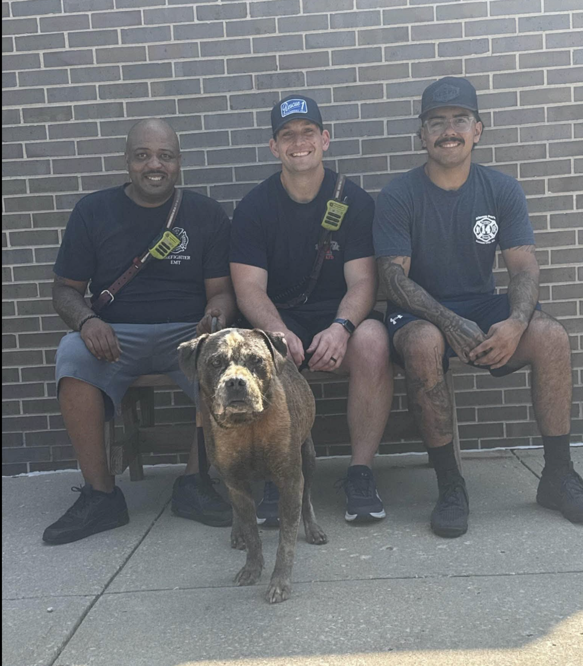 Kansas City, Kansas Firefighters sit with Brisket the dog after they rescued him on July 4, 2026.