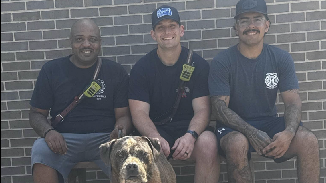 Dog, ‘terrified’ by July 4 fireworks, fell 15 feet into well. Rescuers gave him a name