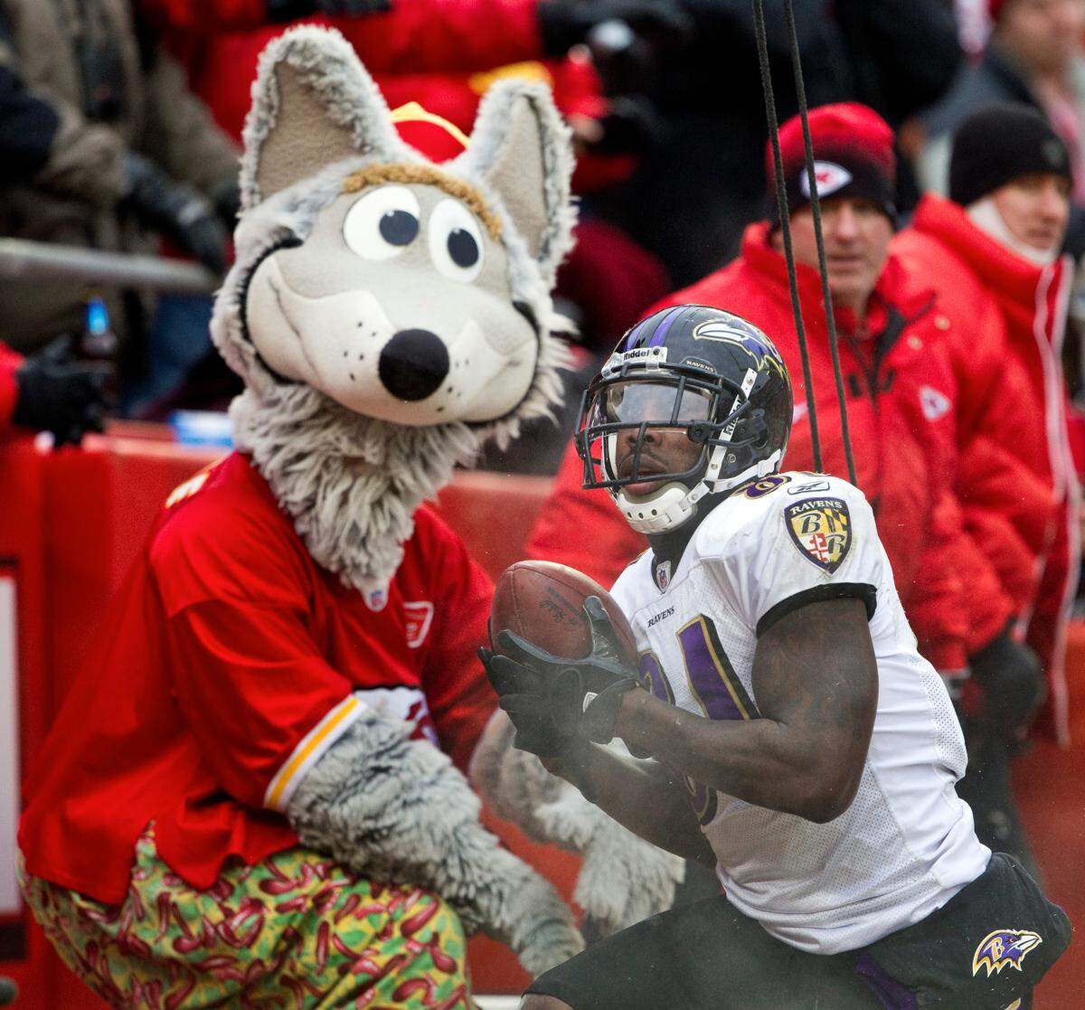 Kansas City Chiefs mascot KC Wolf looks on as Baltimore Ravens wide receiver Anquan Boldin (81) caught a third quarter touchdown pass during Sunday’s AFC Wild Card playoff football game on Jan. 9, 2011. The Ravens won, 30-7.