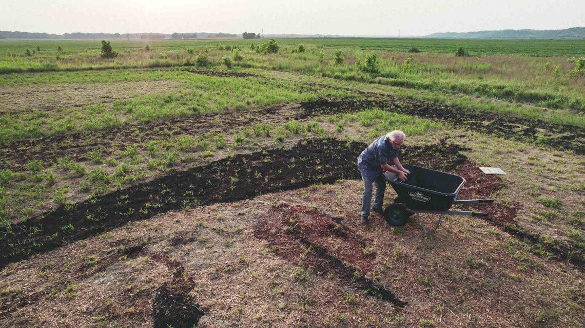 Kansas-born artist Stan Herd works on his larger-than-life ‘earth portrait of Vice President Kamala Harris on a farm near Lawrence, Kansas in 2024.