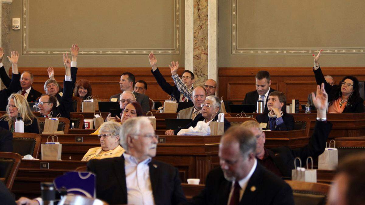 Amendment 1 would allow politicians to reject policy decisions made by the executive the voters choose.